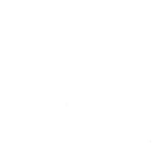 White (2-way Stretch)